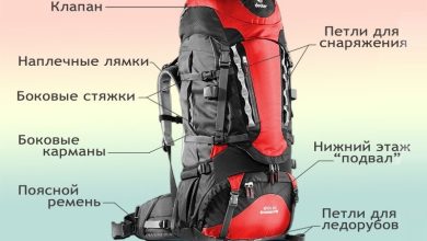 Photo of Как выбрать туристический рюкзак мужской купить